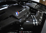 Eventuri Carbon Plenum sací svody pro BMW M3 (E90, E92, E93)